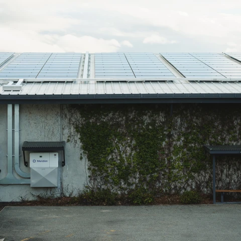 LOWRES D01 MERIDIAN FOLEY SESSION 010965 EDITED