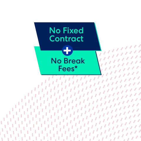 Freedom plan and pattern no break