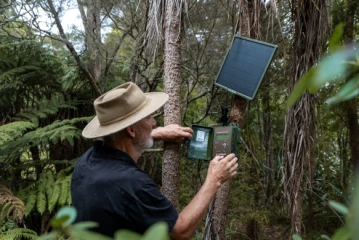Kaipatiki DSC0619 LR