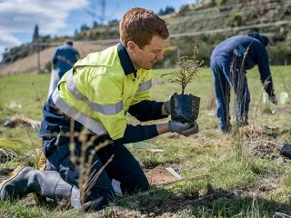 Man planting a tree - Forever Forests