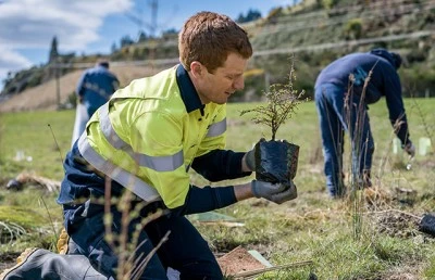 Man planting a tree - Forever Forests