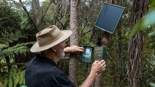 Kaipatiki DSC0619 LR