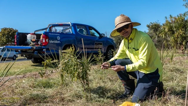 Otara Trust DSC0576 LR